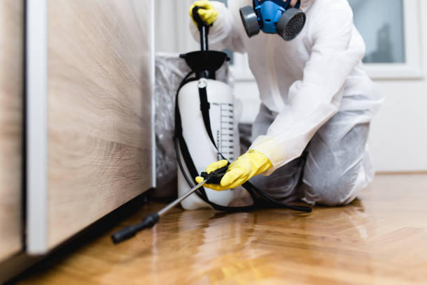 Best Wasp Removal Services  in Pierre Part, LA