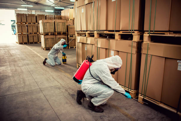 Best Emergency Pest Control  in Pierre Part, LA