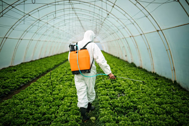 Pest Control Cost in Pierre Part, LA