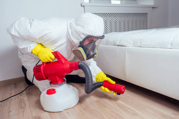 Best Pest Control Treatment  in Pierre Part, LA