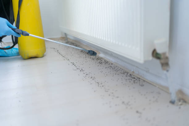 Pest Control for Restaurants in Pierre Part, LA