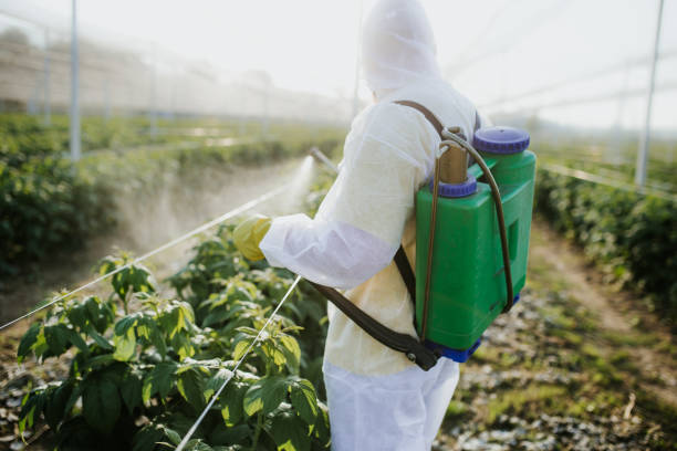Best Commercial Pest Control Services  in Pierre Part, LA
